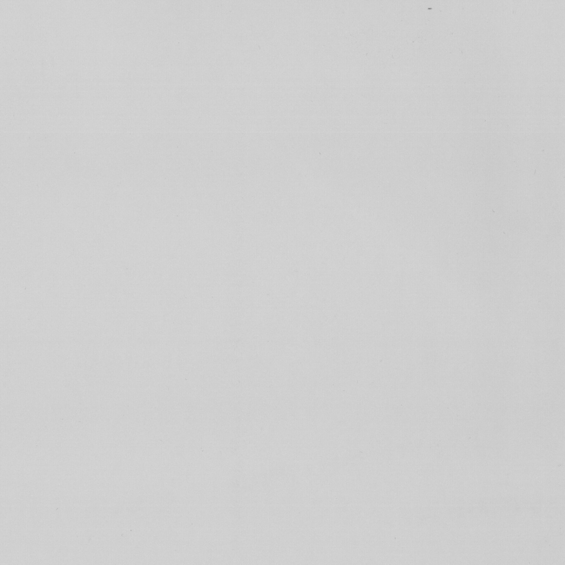 VILPELLE GRIGIO