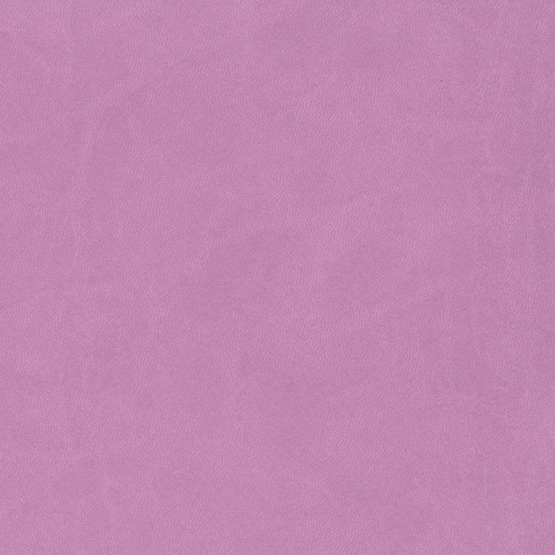 SIERRA LAVANDA
