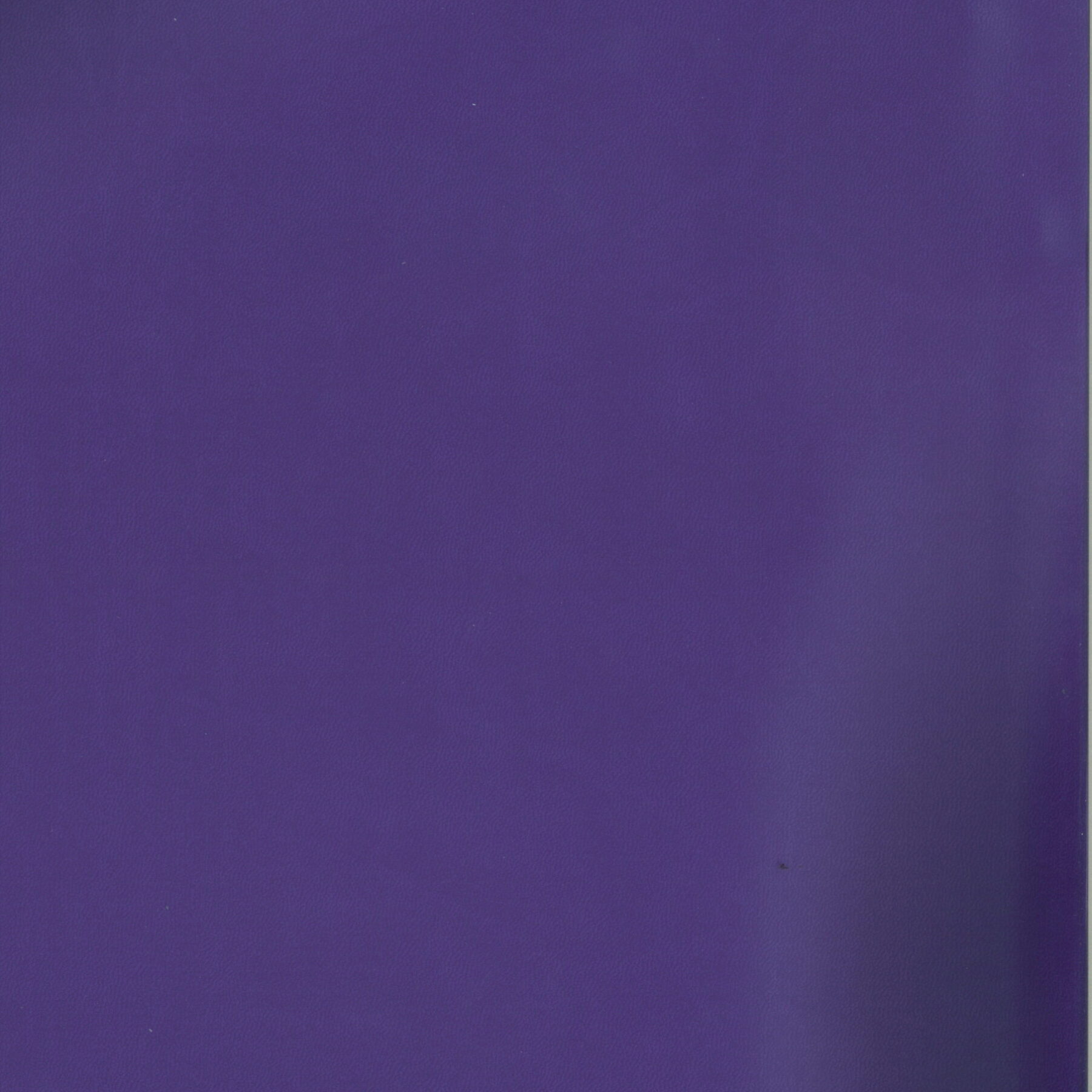 SIERRA VIOLA