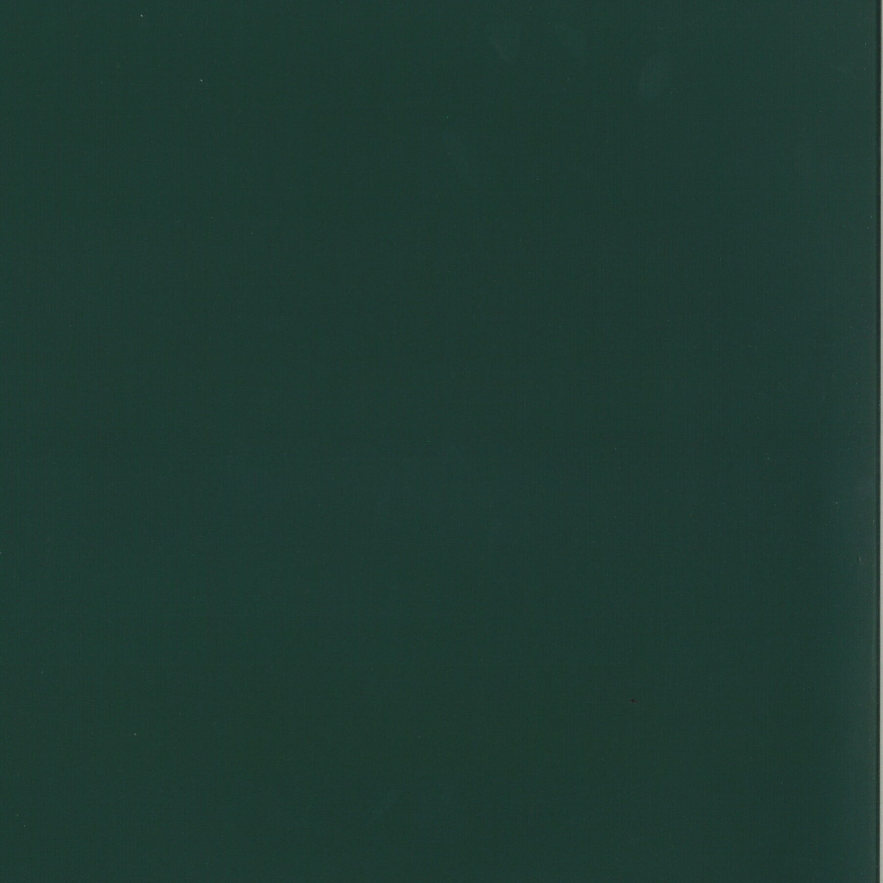 VERDE 405